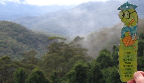 Me looking down on the rain forest canopy