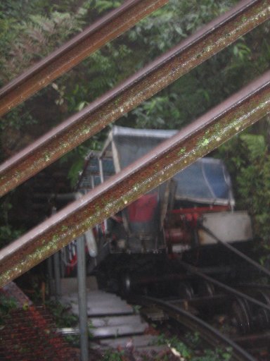 Scenic Railway train