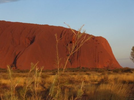 Uluru 5