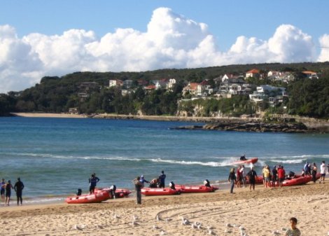 manly and shelly beach