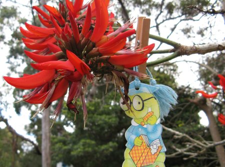 Me and Peg out on a limb with Blue