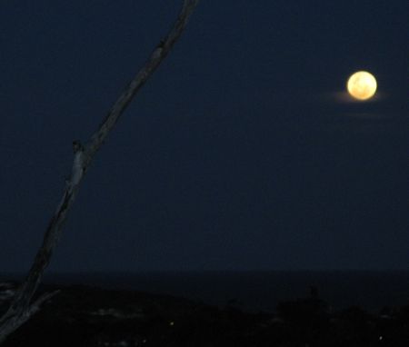 By the light of a gibbous moon
