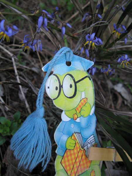 Centipedes and slugs in Sydney Centipedes and slugs in Sydney