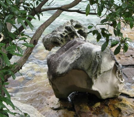 Do snakes have legs? Do snakes have legs?