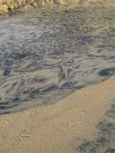 Fraser Island - it's all about sand