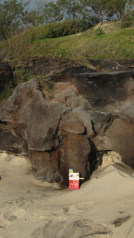 Deadly pine cones and other dangers on Fraser Island
