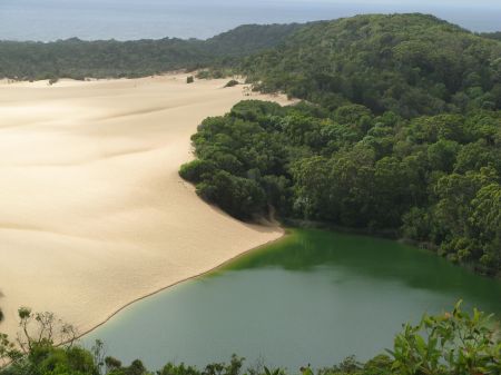 Swimming on Fraser Island