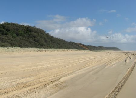 Getting about on Fraser Island