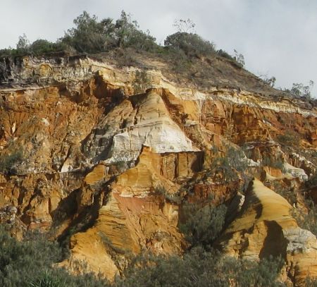 Fraser Island - it's all about sand