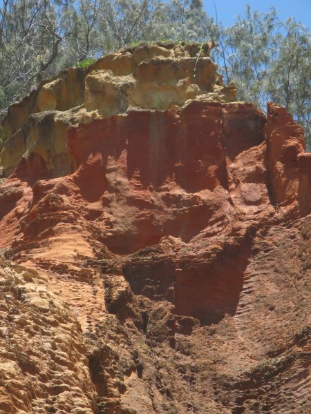Fraser Island - it's all about sand