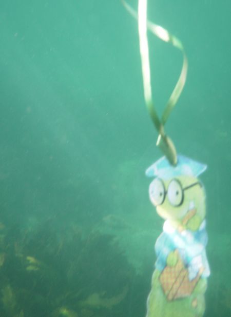 Shelly Beach in Manly