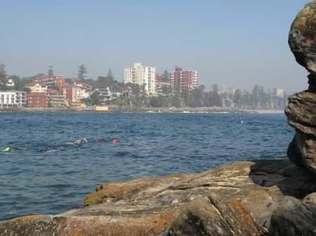 Shelly Beach in Manly