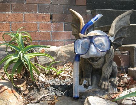 Shelly Beach in Manly