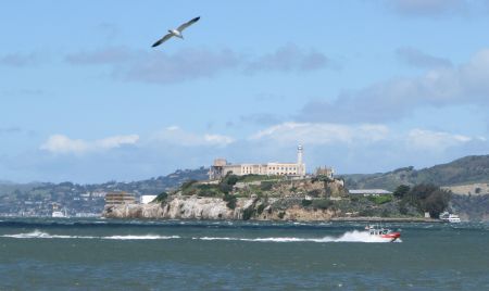 World Famous Bushman in San Francisco