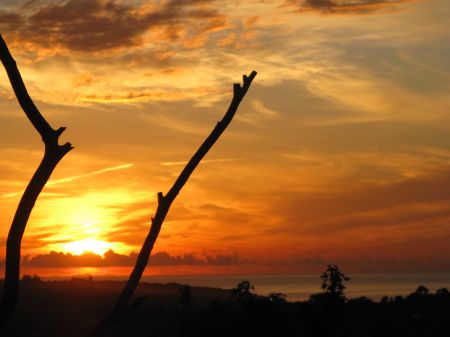 Sunrise in Sydney Sunrise in Sydney