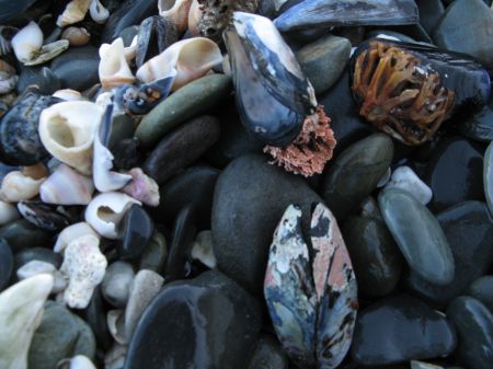 Bloubergstrand in Cape Town Bloubergstrand in Cape Town