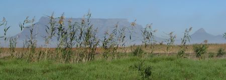 Armed response in Cape Town