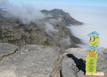 On top of Table Mountain On top of Table Mountain