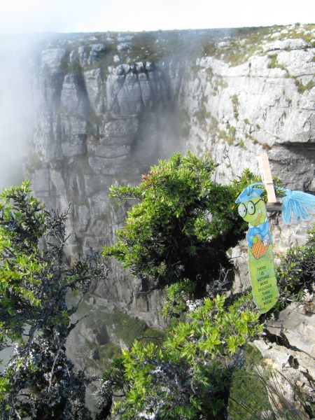 On top of Table Mountain On top of Table Mountain