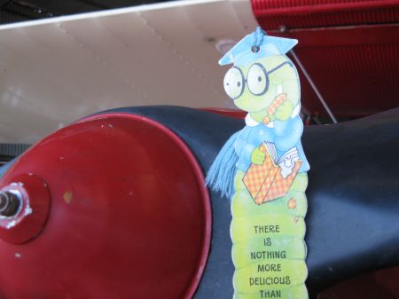 Flying in a Tiger Moth over Sydney Flying in a Tiger Moth over Sydney