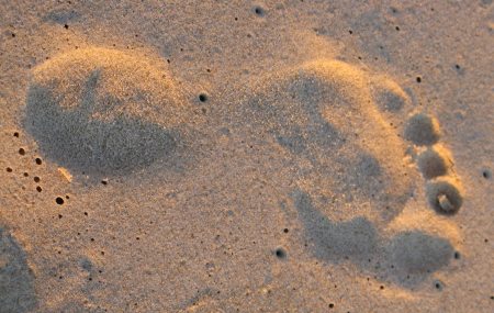 Dawn in Surfer's Paradise