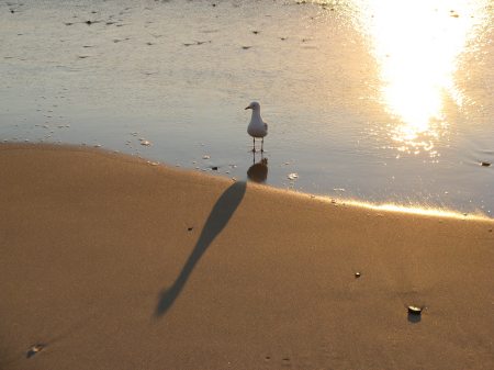 Dawn in Surfer's Paradise