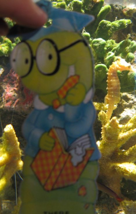 Driving a Mustang from San Francisco to LA Driving a Mustang from San Francisco to LA