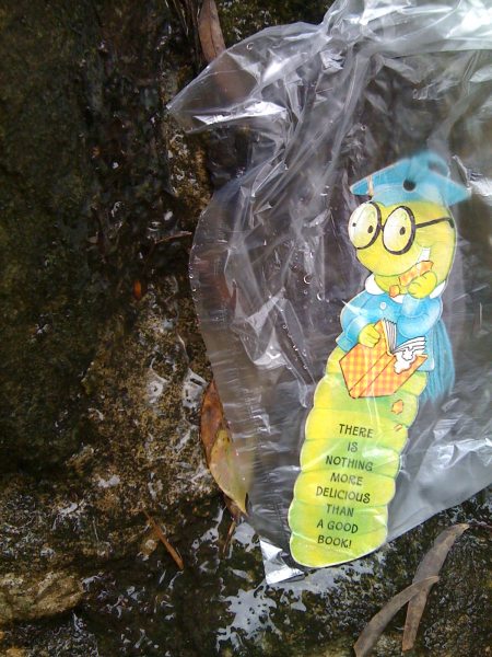 Bush-walking in the rain Bush-walking in the rain