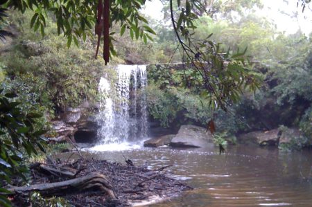 Bush-walking in the rain Bush-walking in the rain