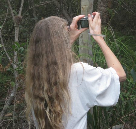 The black cockatoos are in town