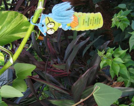 In and around Darwin In and around Darwin