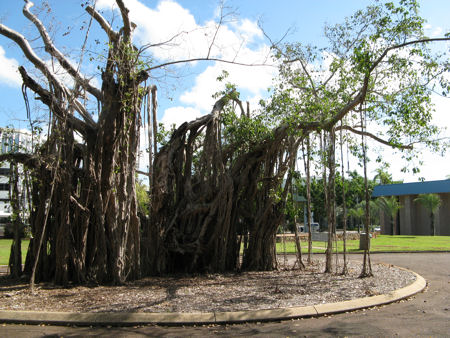 In and around Darwin In and around Darwin