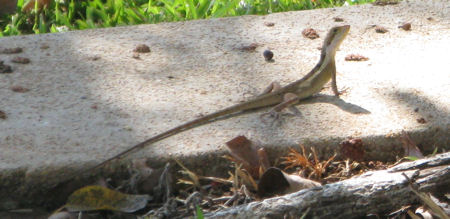 In and around Darwin In and around Darwin