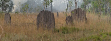 In and around Darwin In and around Darwin