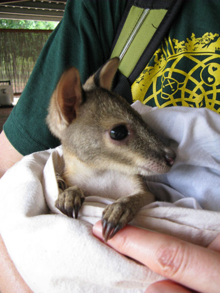 In and around Darwin In and around Darwin