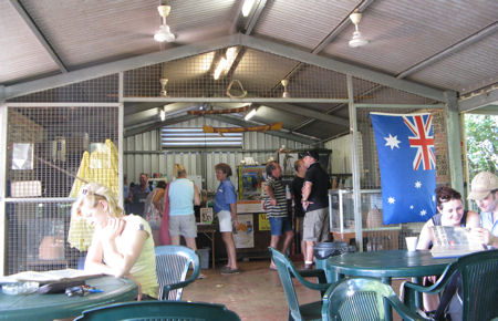 Jumping crocodiles near Darwin Jumping crocodiles near Darwin