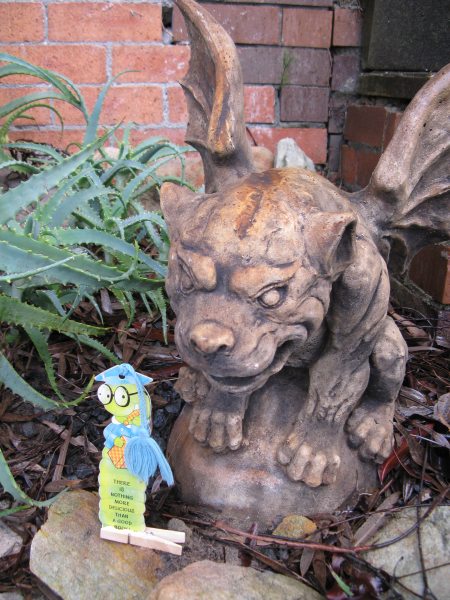 Jumping crocodiles near Darwin Jumping crocodiles near Darwin