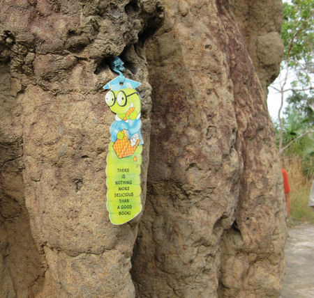 Litchfield National Park in the Northern Territory Litchfield National Park in the Northern Territory