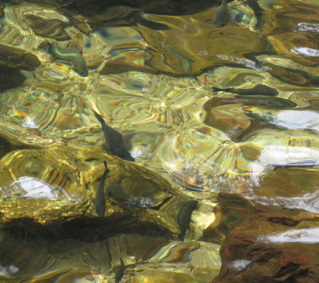 Litchfield National Park in the Northern Territory Litchfield National Park in the Northern Territory