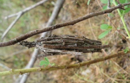 Litchfield National Park in the Northern Territory Litchfield National Park in the Northern Territory