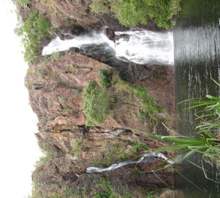 Litchfield National Park in the Northern Territory Litchfield National Park in the Northern Territory