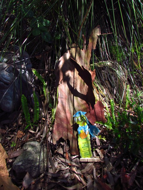 F-stops and focus and zooms, oh my!