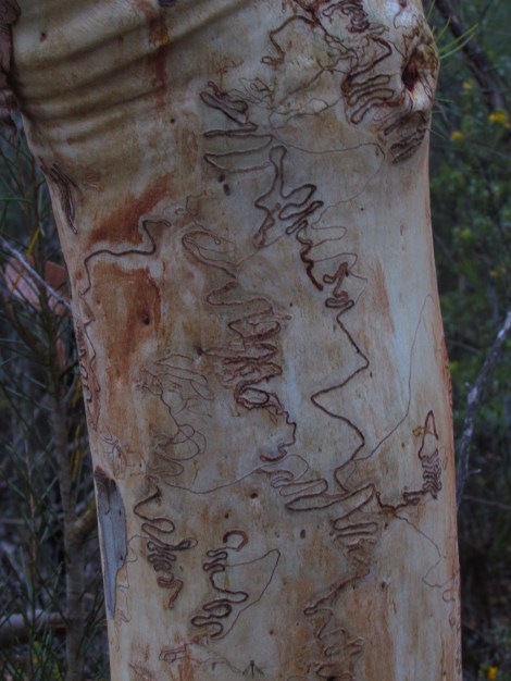 F-stops and focus and zooms, oh my!