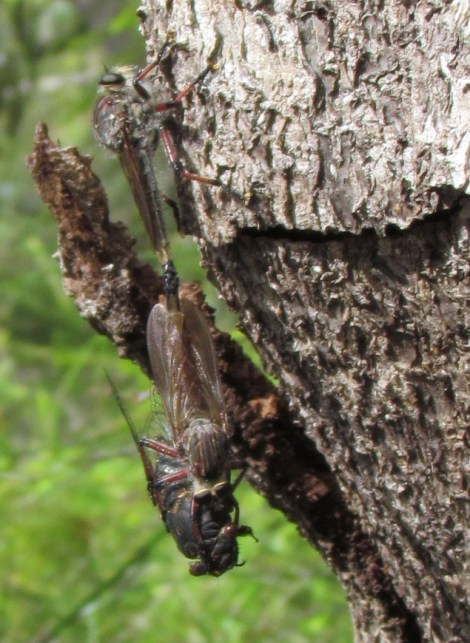 F-stops and focus and zooms, oh my!