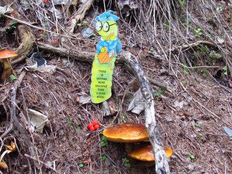 The glow worms of Te Anau