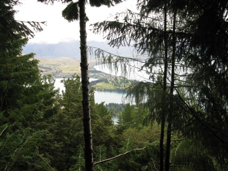 Adventures in Queenstown, New Zealand