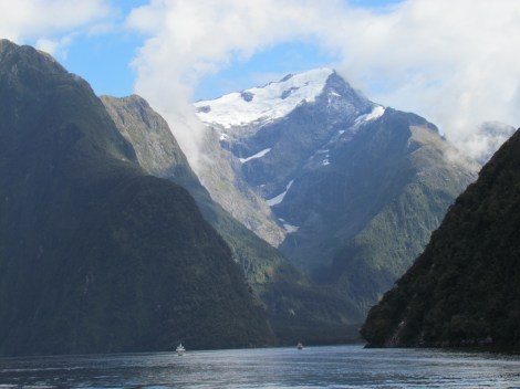 Cruising through Milford Sound, New Zealand Cruising through Milford Sound, New Zealand