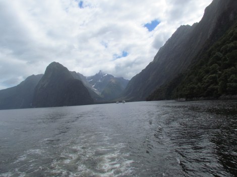 Cruising through Milford Sound, New Zealand Cruising through Milford Sound, New Zealand