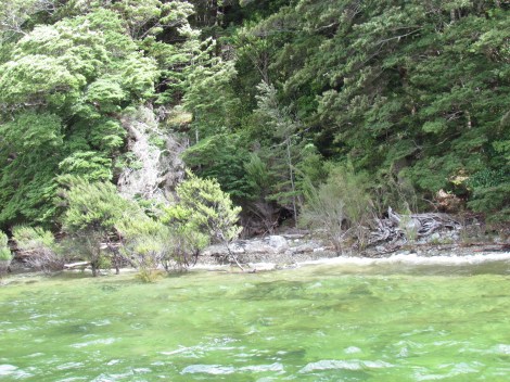 The glowworms of Te Anau