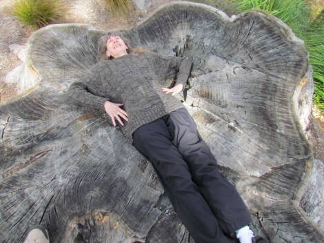 The glow worms of Te Anau